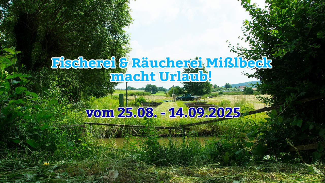 Sommer 2025