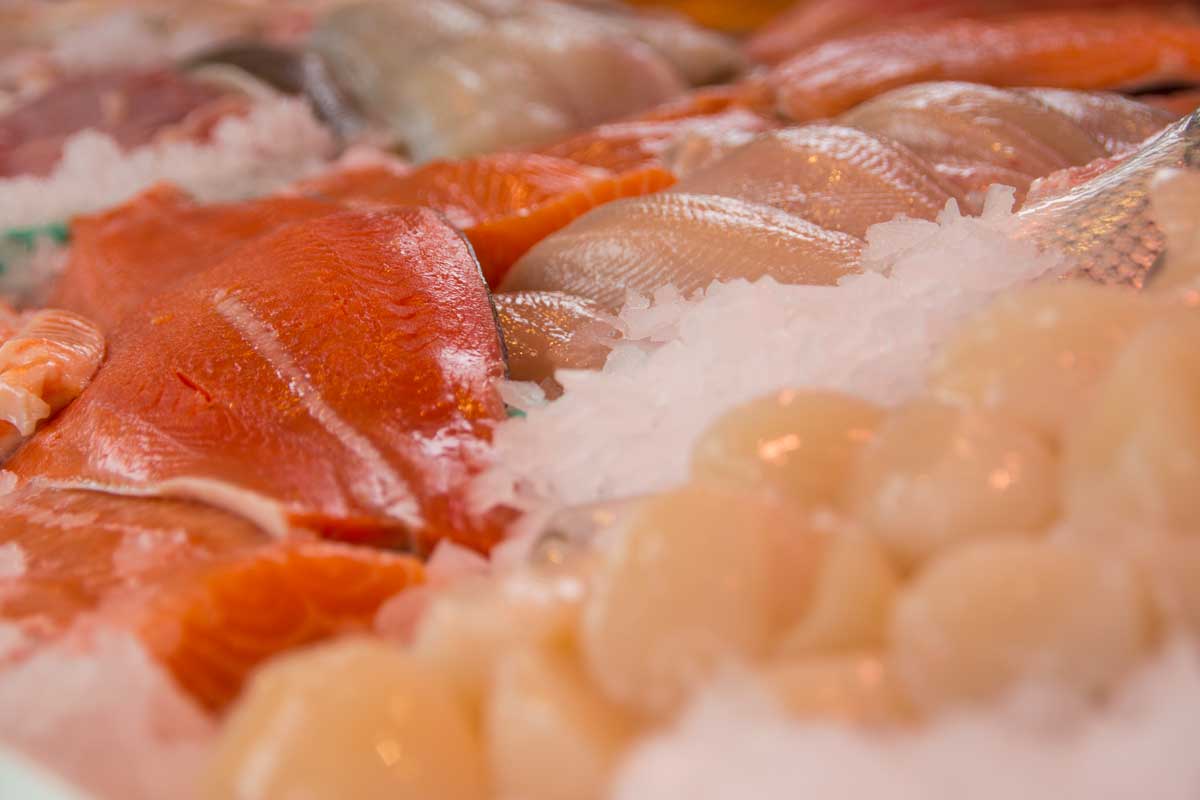 Fisch